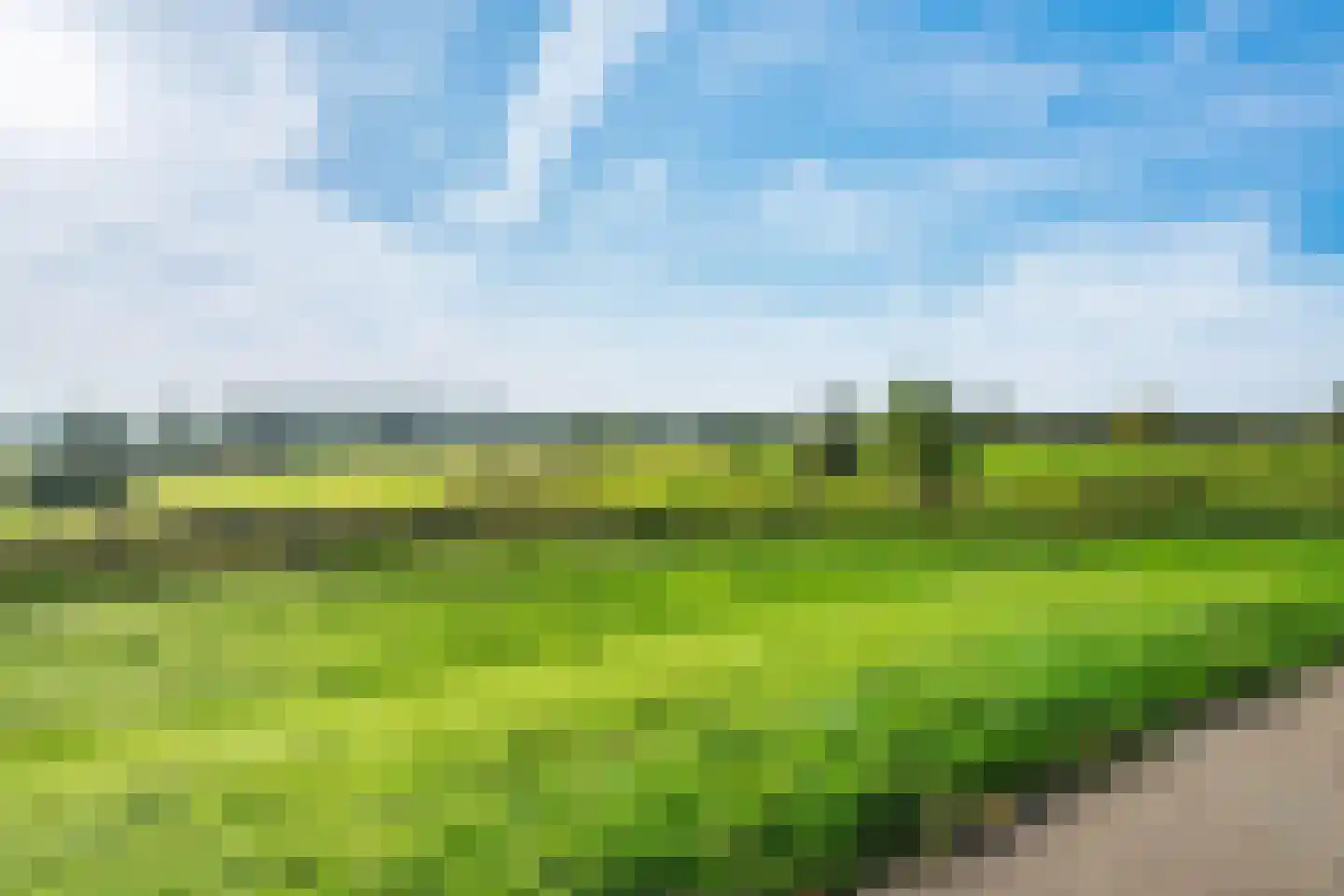 Spijk 17 Wageningen thumbnail 29