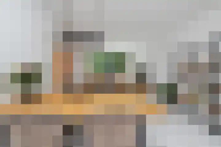 Spijkenissestraat 11 Arnhem thumbnail 13