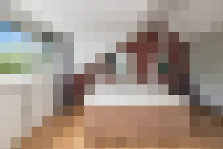 Spijkenissestraat 11 Arnhem thumbnail 37