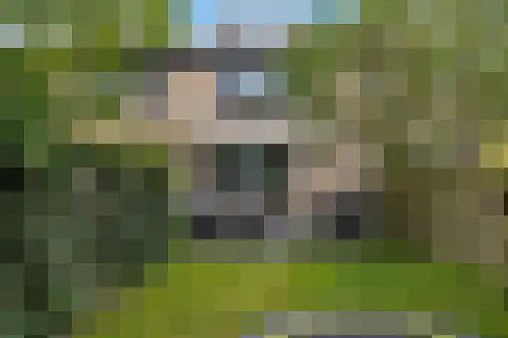 Spijkenissestraat 11 Arnhem thumbnail 43