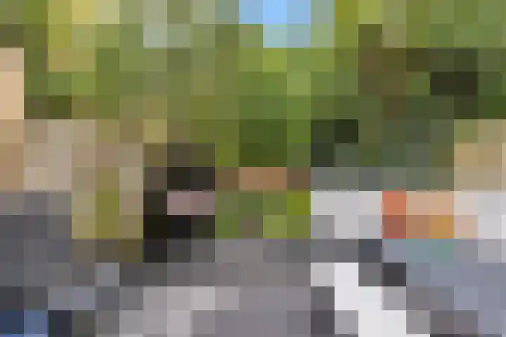 Spijkenissestraat 11 Arnhem thumbnail 5