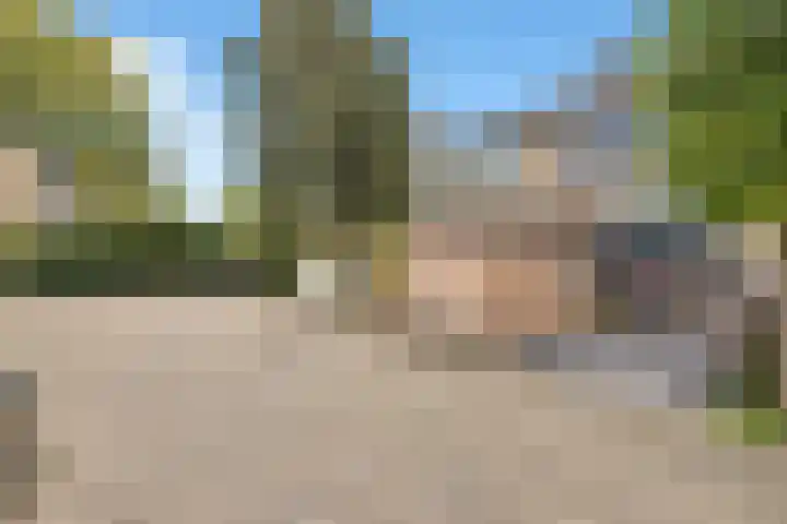 Spijkenissestraat 11 Arnhem thumbnail 6