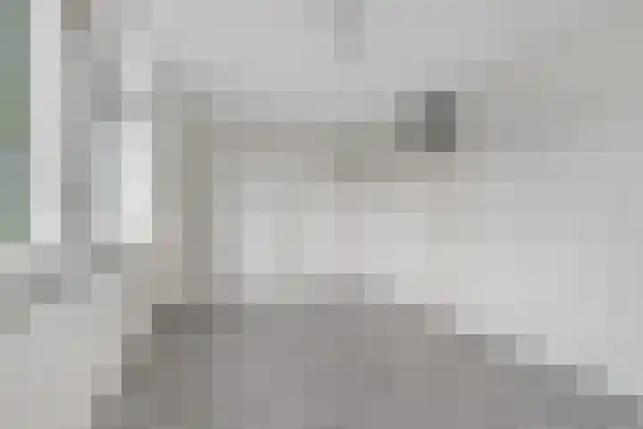 Spijkenissestraat 3 Arnhem thumbnail 18