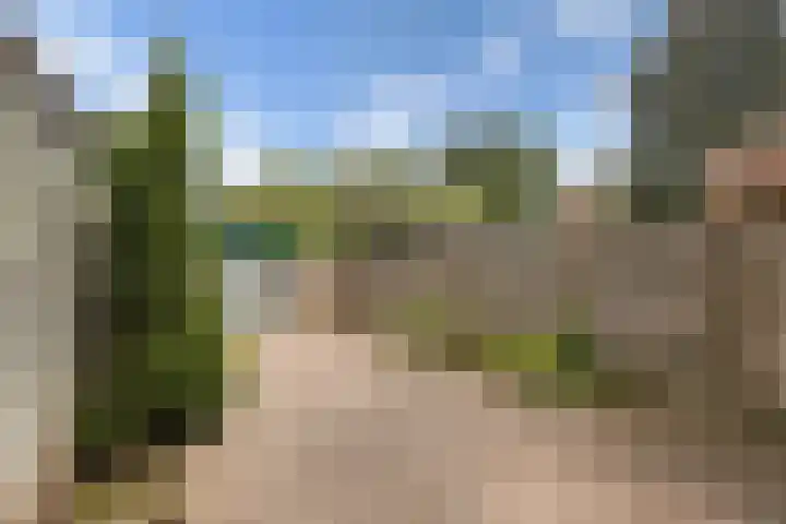 Spijkenissestraat 3 Arnhem thumbnail 25