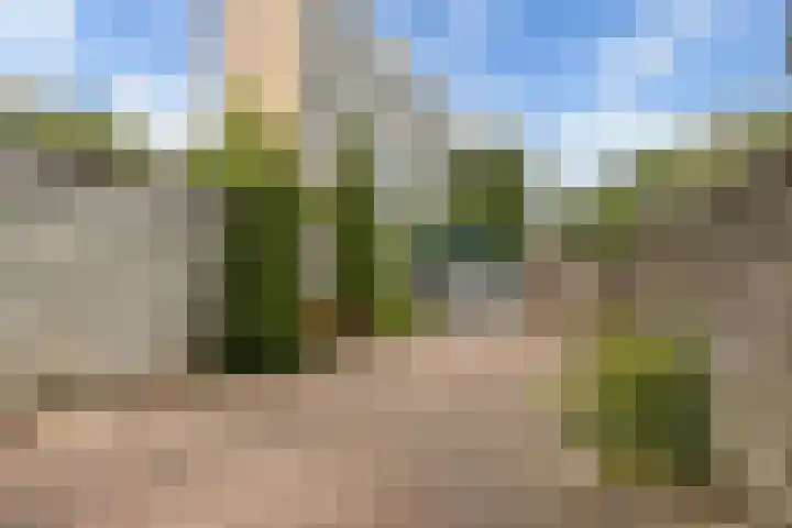 Spijkenissestraat 3 Arnhem thumbnail 26