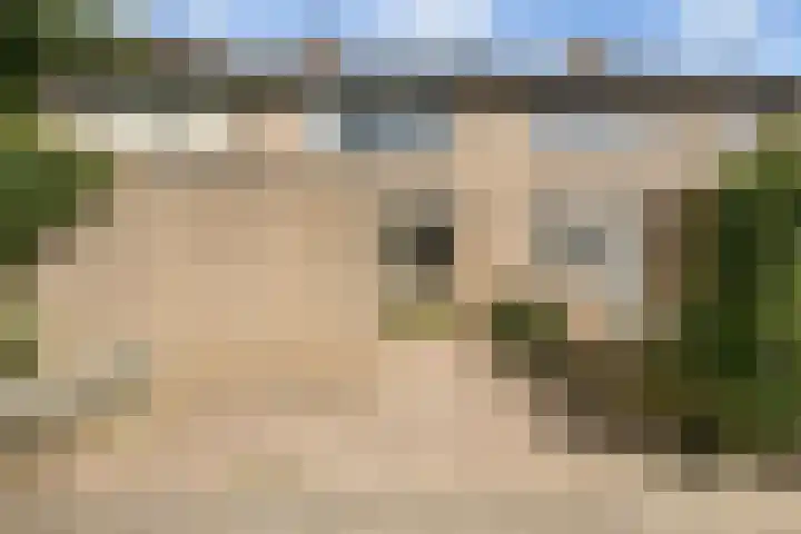 Spijkenissestraat 3 Arnhem thumbnail 4