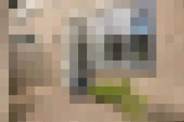 Spijkenissestraat 3 Arnhem thumbnail 5
