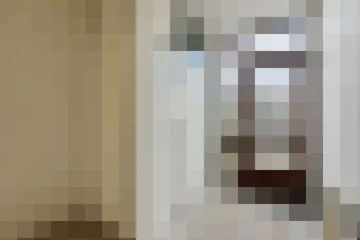 Spijkenissestraat 33 Arnhem thumbnail 12