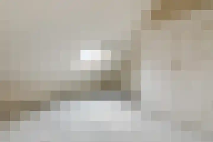 Spijkenissestraat 33 Arnhem thumbnail 30