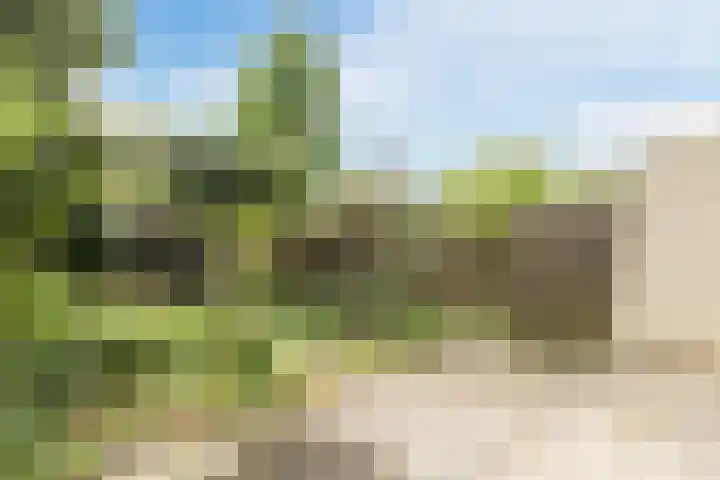 Spijkenissestraat 33 Arnhem thumbnail 36