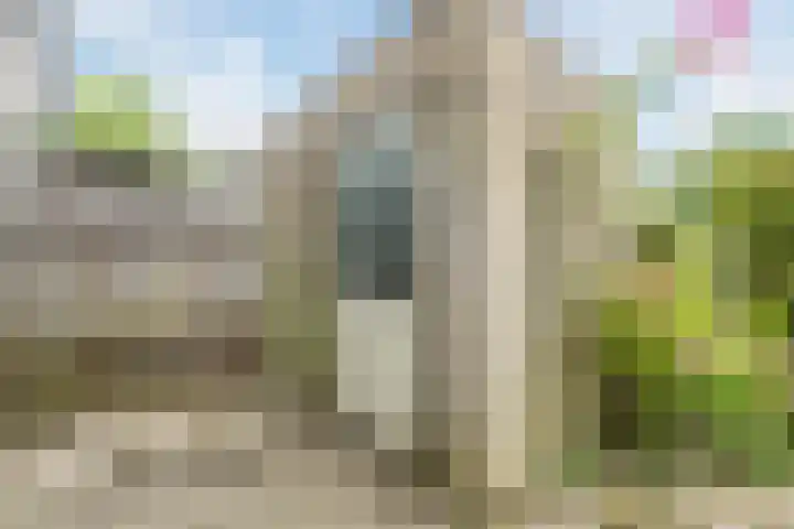 Spijkenissestraat 33 Arnhem thumbnail 41
