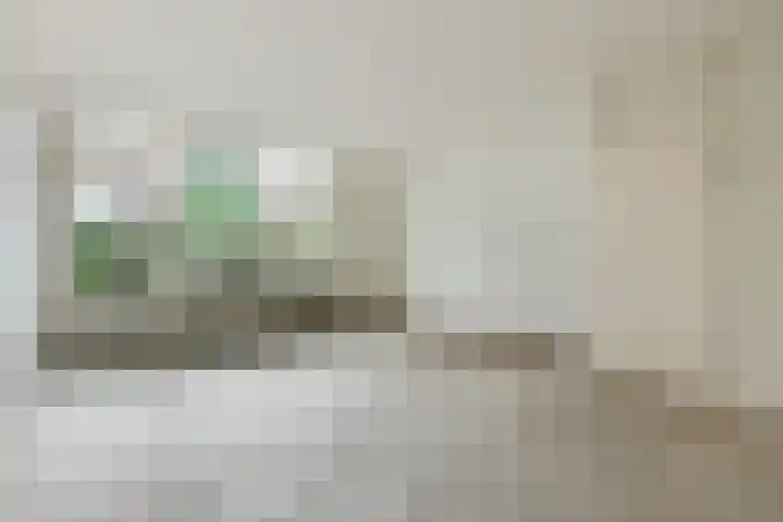 Spijkenissestraat 33 Arnhem thumbnail 5