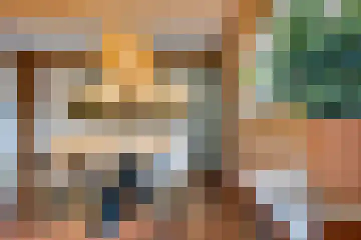 Spijkerboor 24 Sneek thumbnail 10