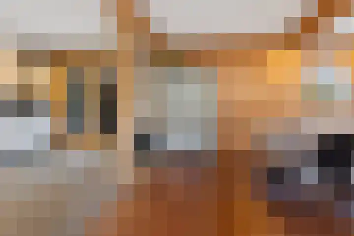 Spijkerboor 24 Sneek thumbnail 18