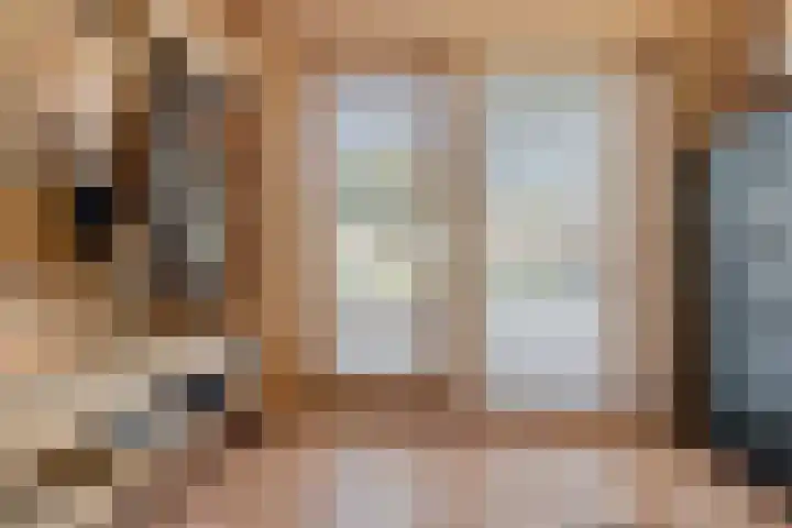 Spijkerboor 24 Sneek thumbnail 19