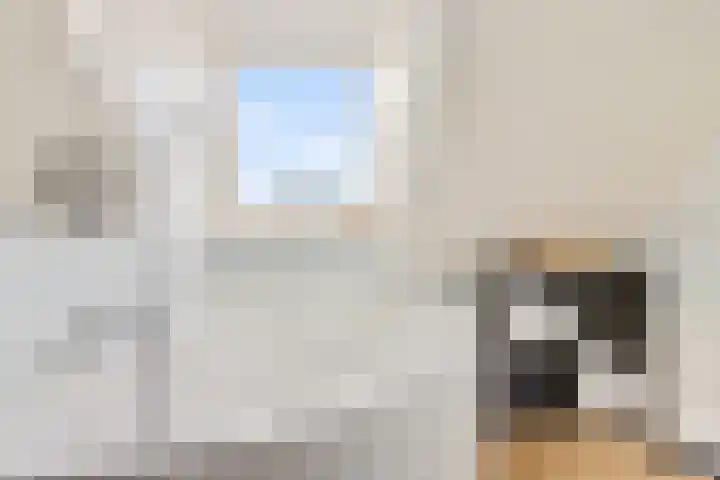 Spijkerboor 24 Sneek thumbnail 22