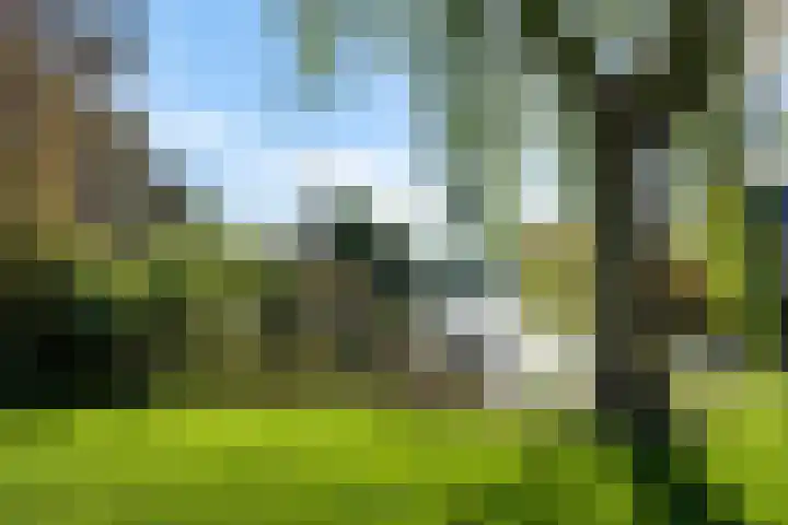 Spijkerboor 24 Sneek thumbnail 31
