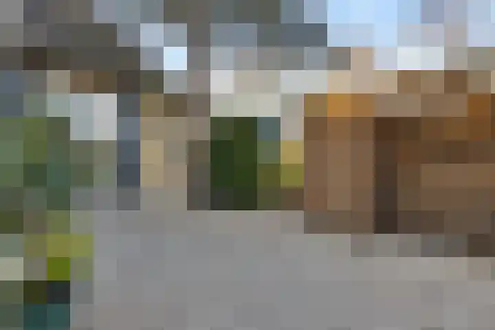 Spijkerboor 24 Sneek thumbnail 34