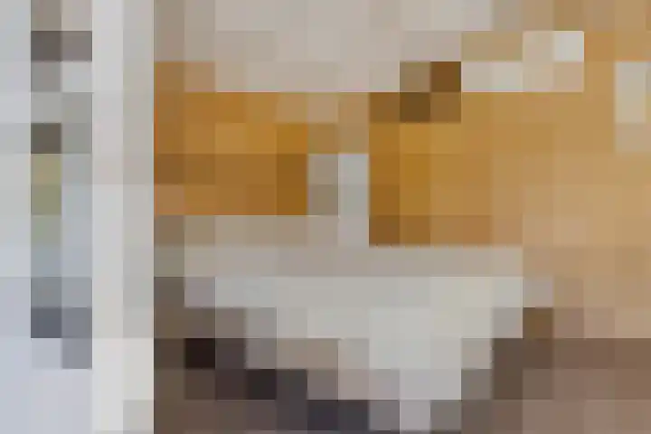 Spijkerboor 24 Sneek thumbnail 38