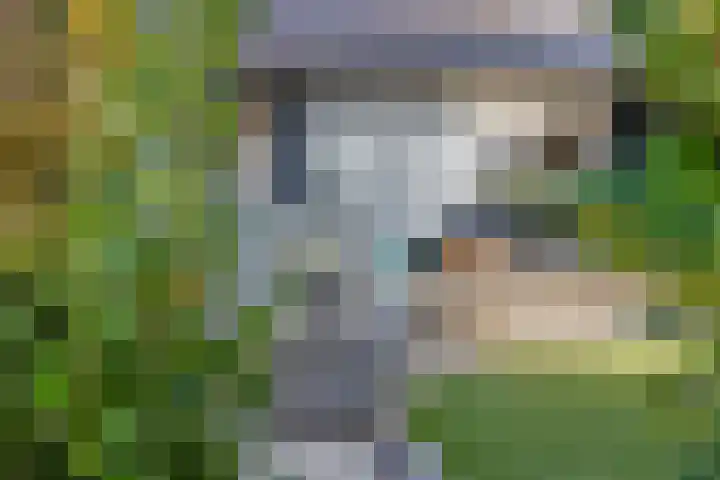 Spijkerboor 24 Sneek thumbnail 41
