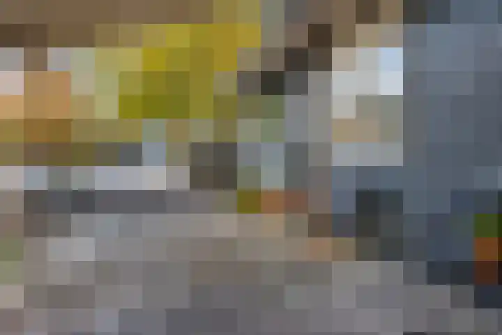 Spijkerboor 24 Sneek thumbnail 44