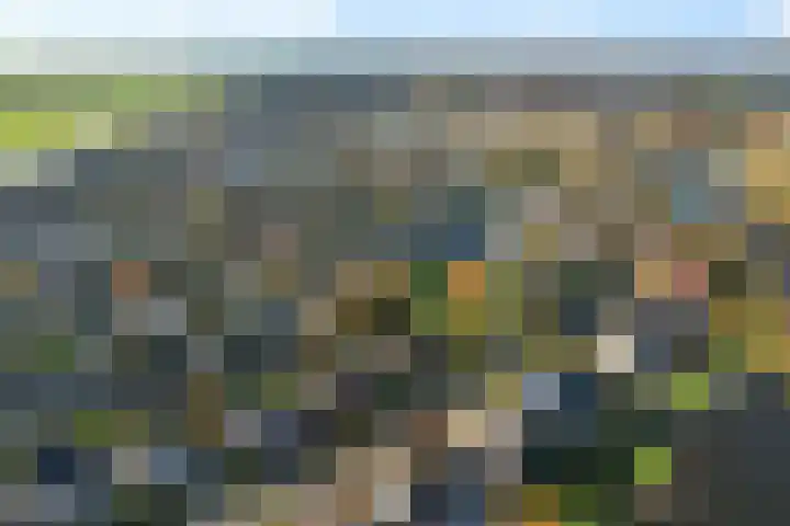 Spijkerboor 24 Sneek thumbnail 45