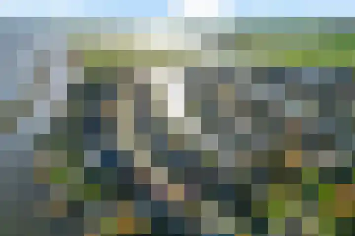 Spijkerboor 24 Sneek thumbnail 46