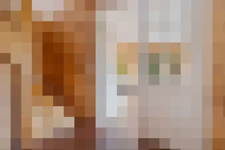 Spijkerboor 24 Sneek thumbnail 6