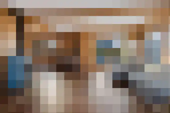 Spijkerboor 24 Sneek thumbnail 7