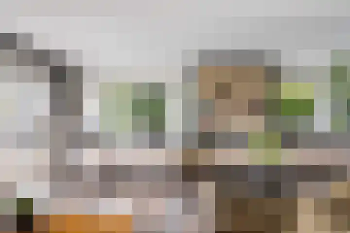 Spijkerboor 71 Sneek thumbnail 11