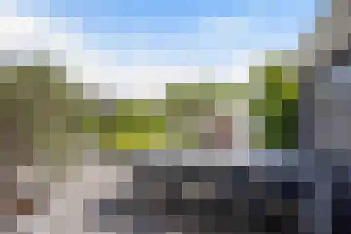 Spijkerboor 71 Sneek thumbnail 19