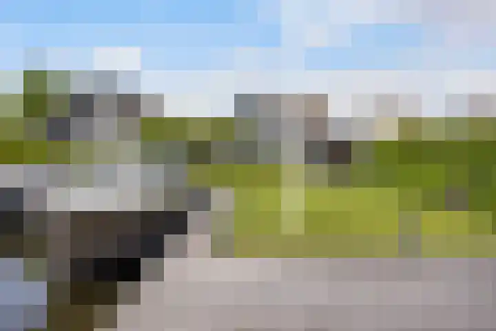 Spijkerboor 71 Sneek thumbnail 29