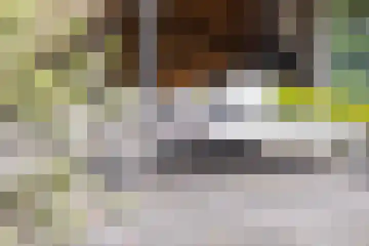 Spijkerboor 71 Sneek thumbnail 36