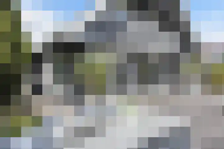 Spijkerboor 71 Sneek thumbnail 39