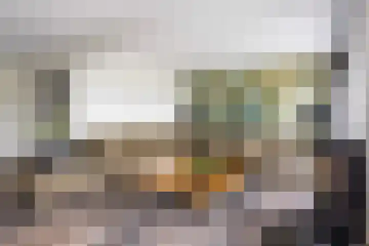 Spijkerboor 71 Sneek thumbnail 9