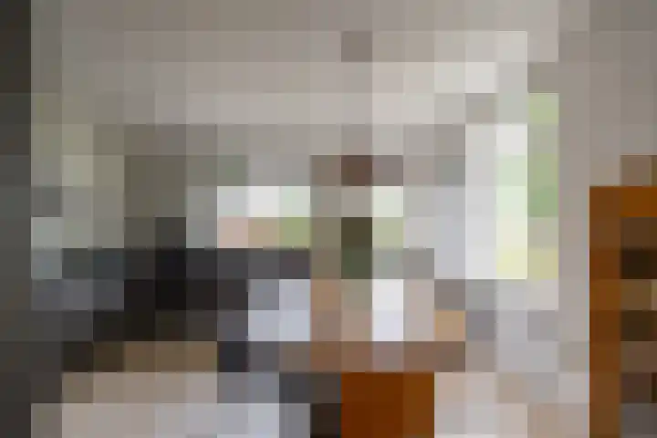 Spijkerboorsdijk 7 Annen thumbnail 10
