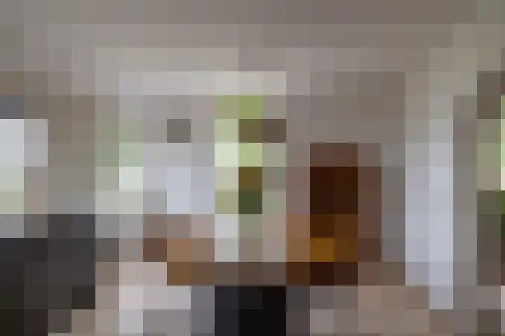 Spijkerboorsdijk 7 Annen thumbnail 11
