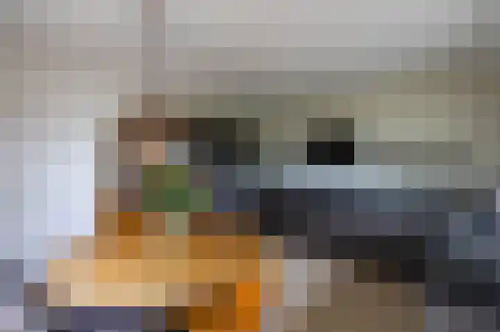 Spijkerboorsdijk 7 Annen thumbnail 13