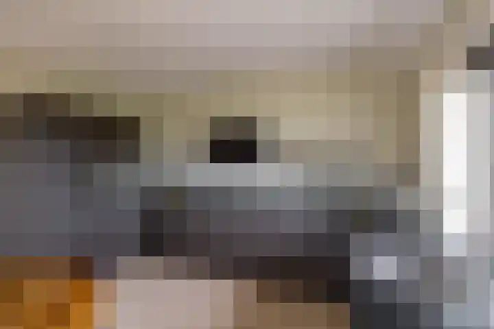 Spijkerboorsdijk 7 Annen thumbnail 14
