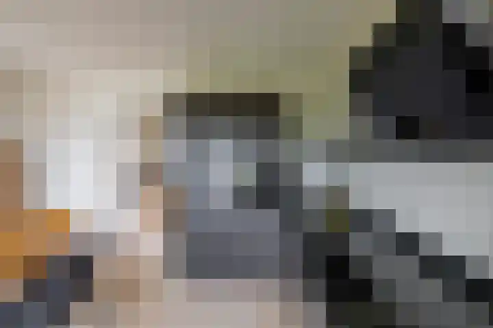 Spijkerboorsdijk 7 Annen thumbnail 15