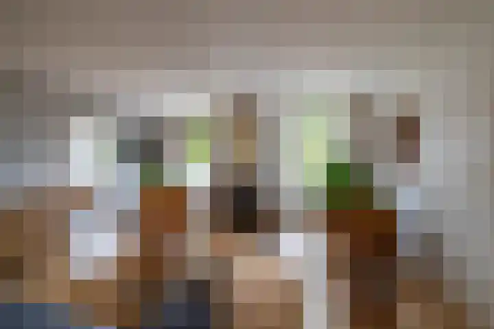 Spijkerboorsdijk 7 Annen thumbnail 20