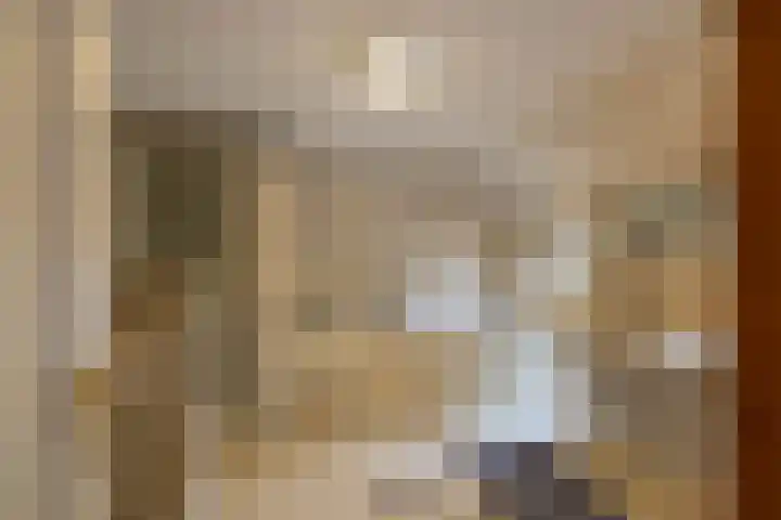 Spijkerboorsdijk 7 Annen thumbnail 32