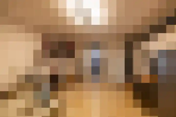 Spijkerboorsdijk 7 Annen thumbnail 35