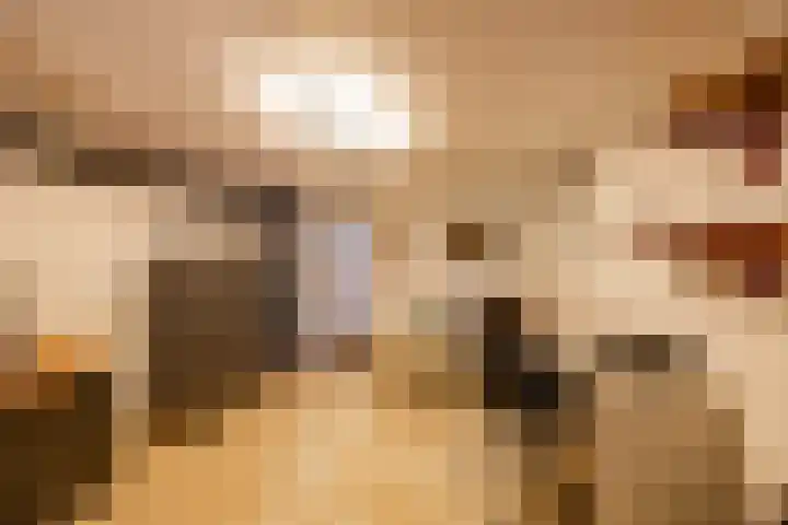 Spijkerboorsdijk 7 Annen thumbnail 36