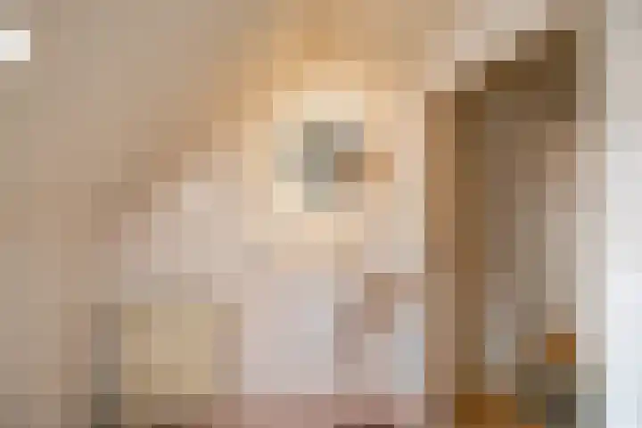 Spijkerboorsdijk 7 Annen thumbnail 41