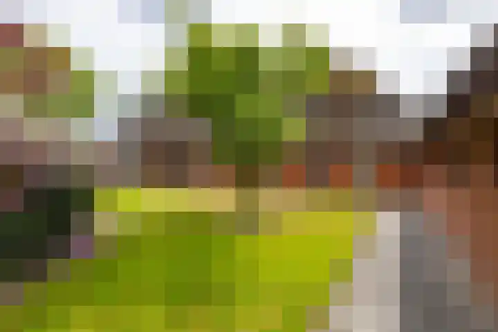Spijkerboorsdijk 7 Annen thumbnail 44