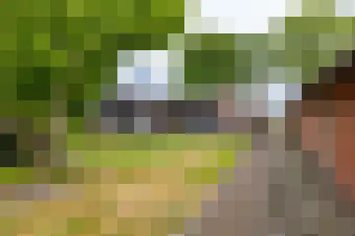 Spijkerboorsdijk 7 Annen thumbnail 45