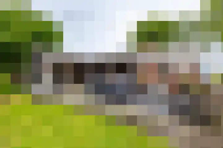 Spijkerboorsdijk 7 Annen thumbnail 46