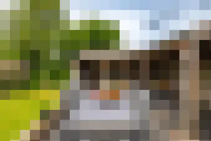 Spijkerboorsdijk 7 Annen thumbnail 47