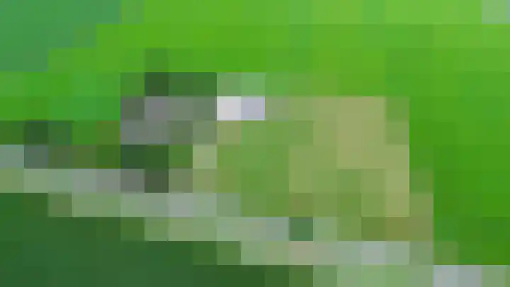 Spijkerboorsdijk 7 Annen thumbnail 5